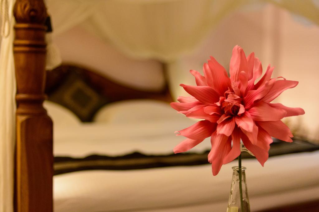 Bali House Apartment Hualien City Ngoại thất bức ảnh